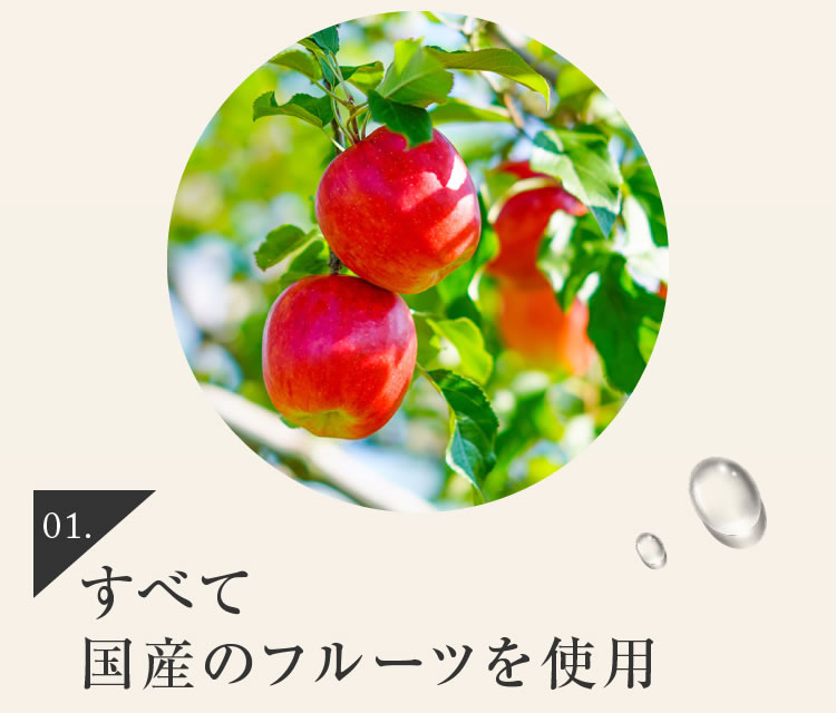 ふるーつぜりー10個入