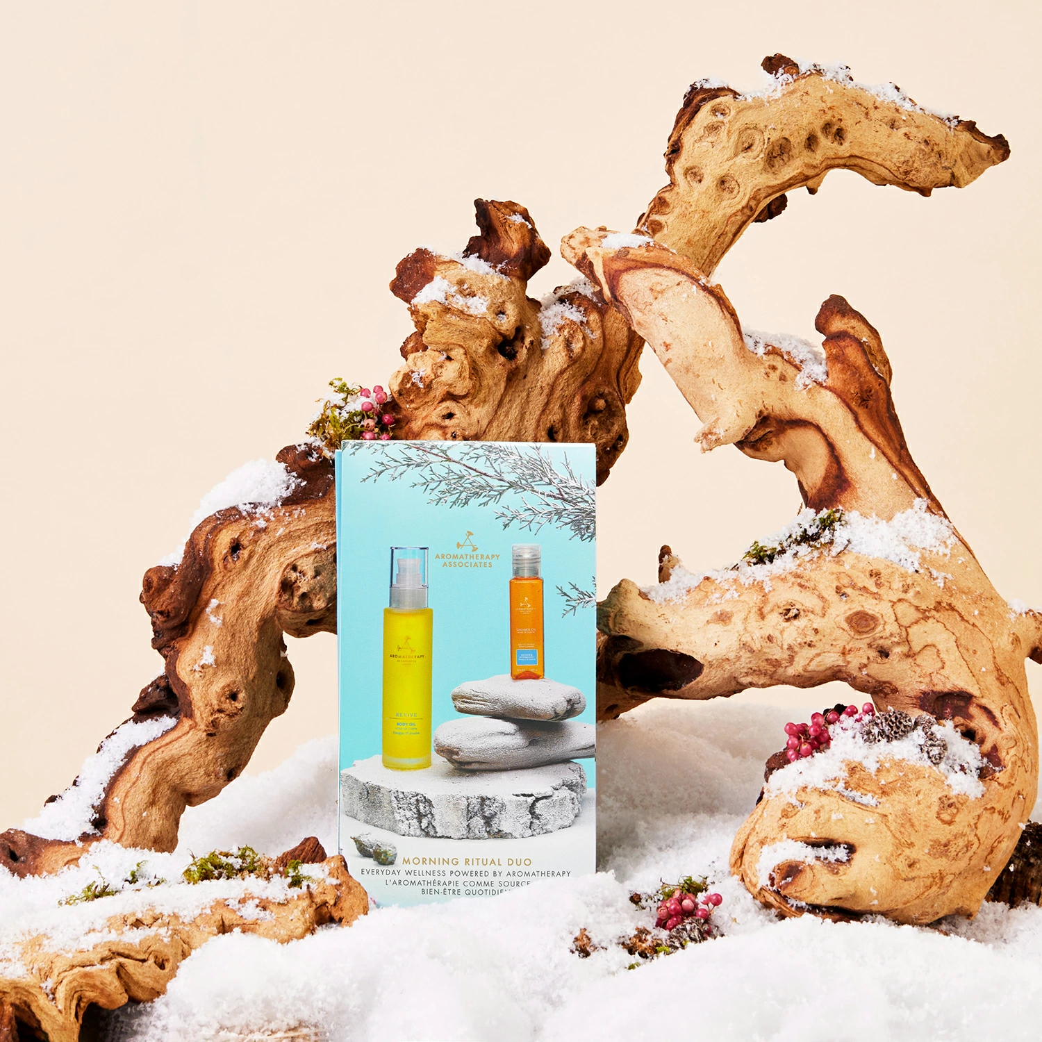 【数量限定】贅沢バスタイムセット