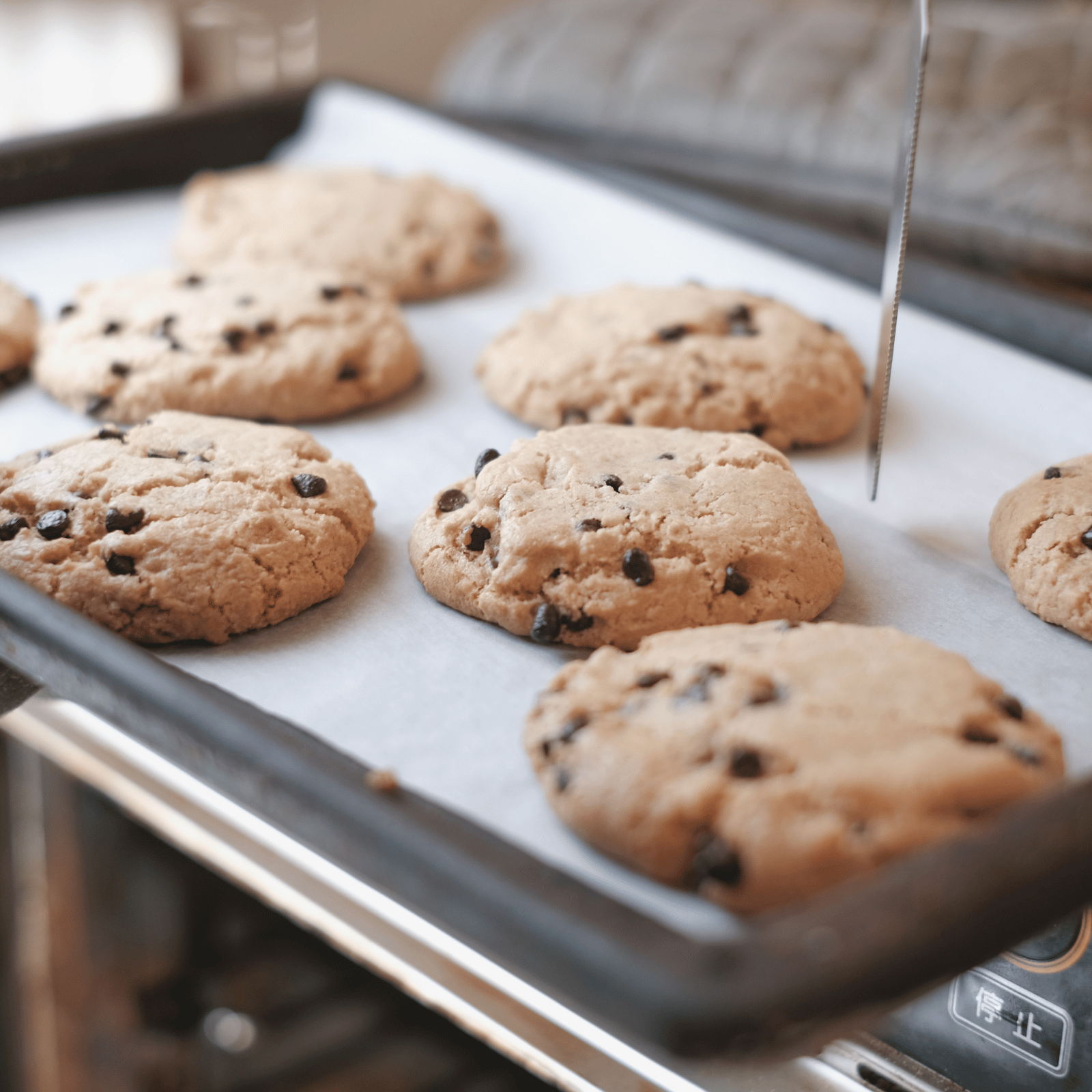 【ギフト限定】5枚入りソフトクッキーギフトボックス