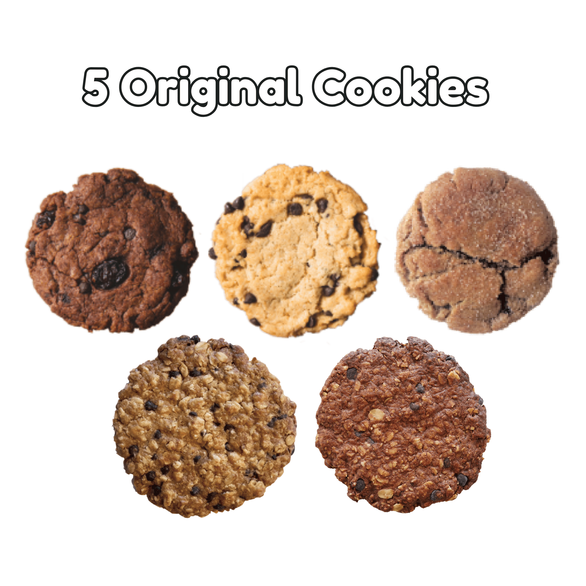 【ギフト限定】5枚入りソフトクッキーギフトボックス