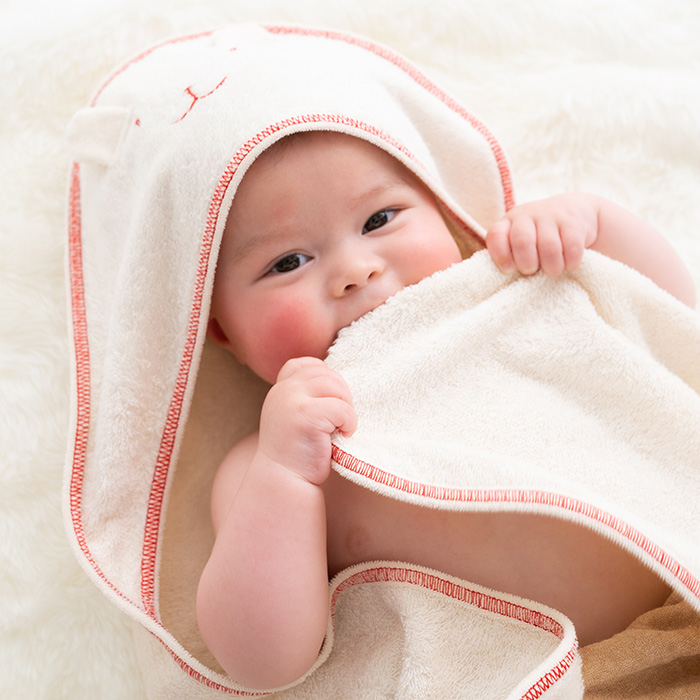 【TANP限定】アフガンギフトセット うさぎ