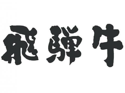 飛騨牛 シャトーブリアン ステーキ 300g A5 A4 (100g × 3枚)