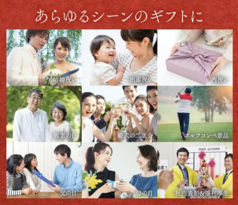 飛騨牛 シャトーブリアン ステーキ 300g A5 A4 (100g × 3枚)
