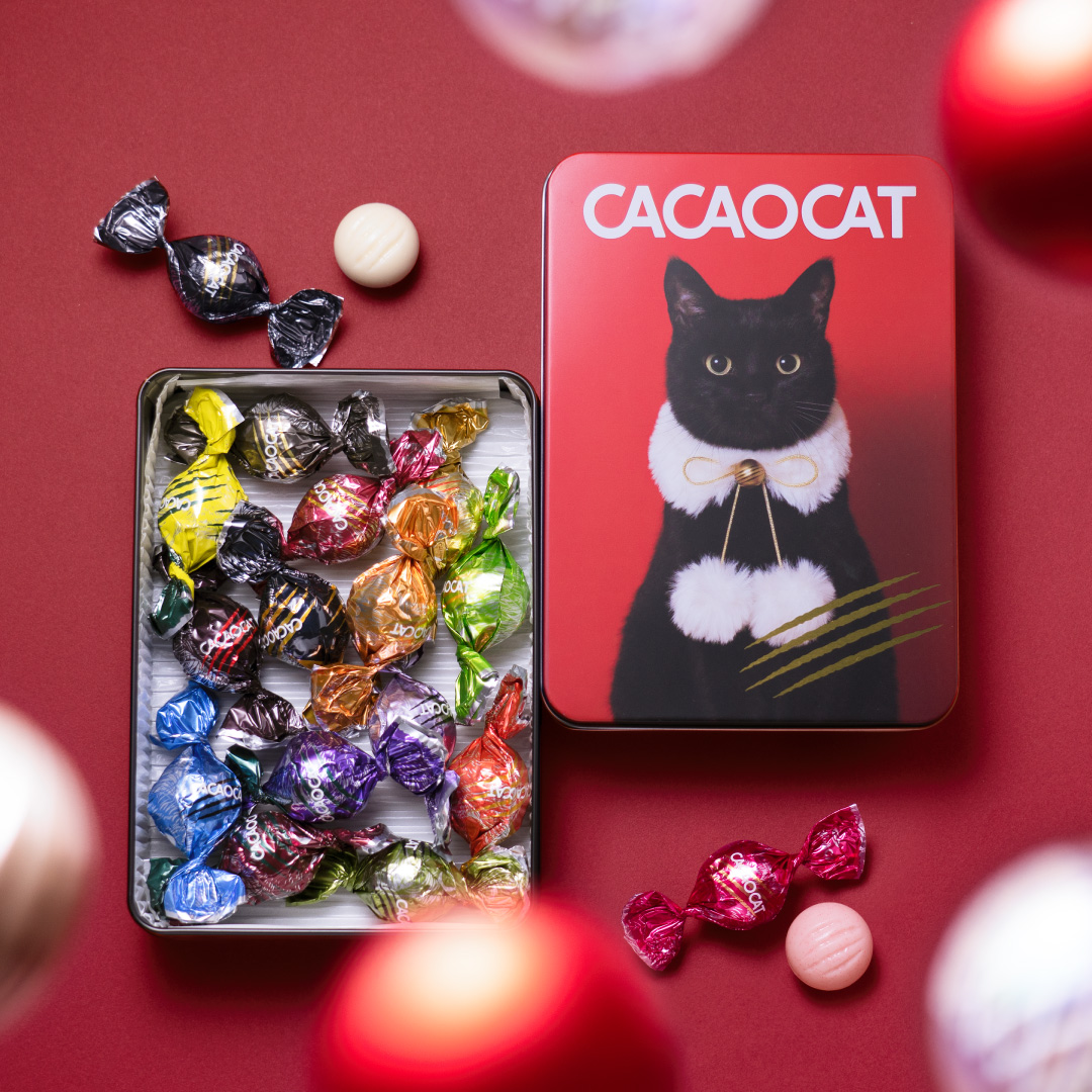【期間限定】CACAOCAT 缶 ミックス 14 個入り RED