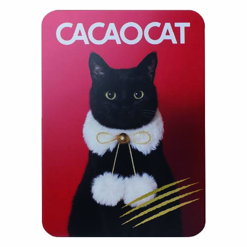 【期間限定】CACAOCAT 缶 ミックス 14 個入り RED