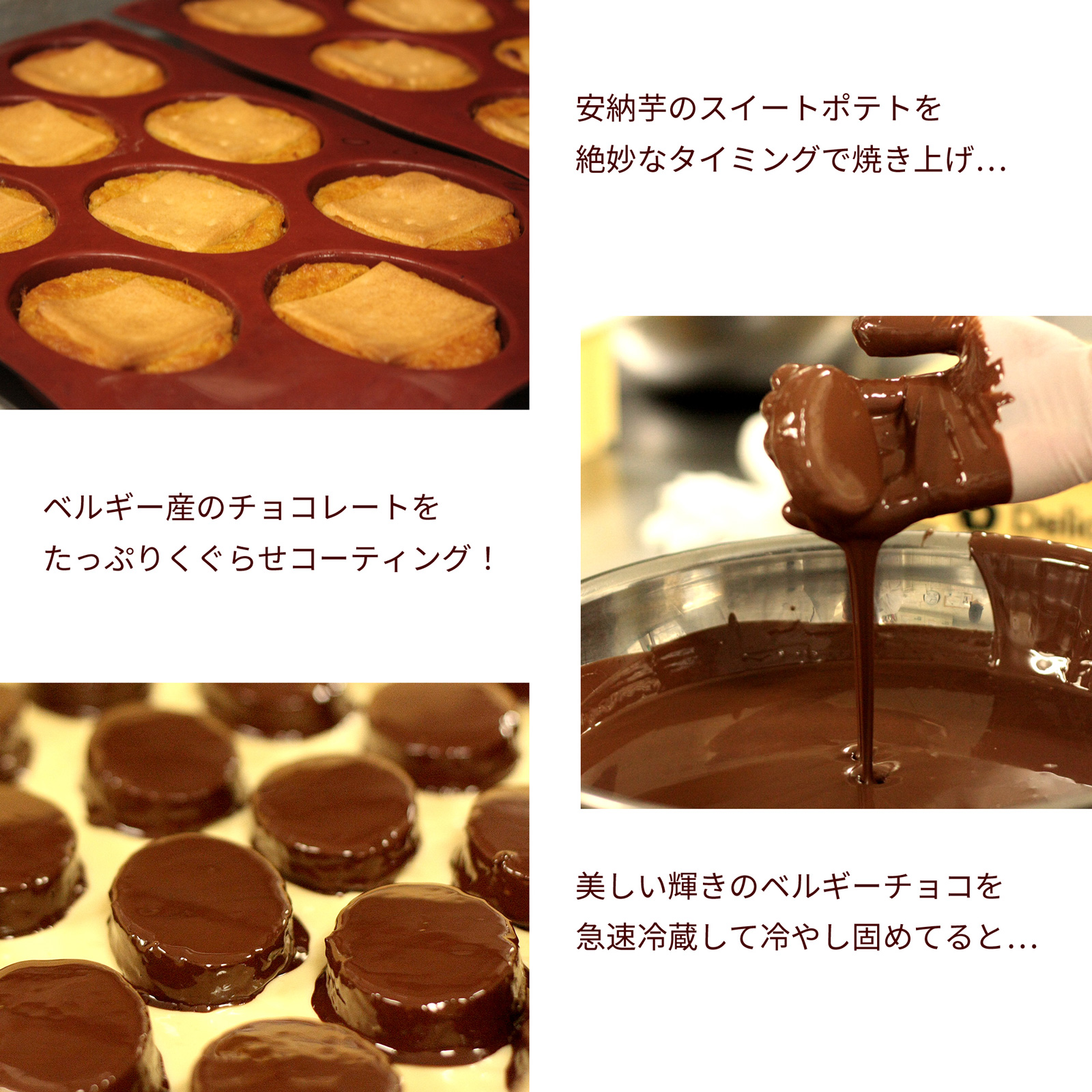 【チョコと安納芋の濃厚ペアスイーツ】安納芋ほうじ茶トリュフチョコレート