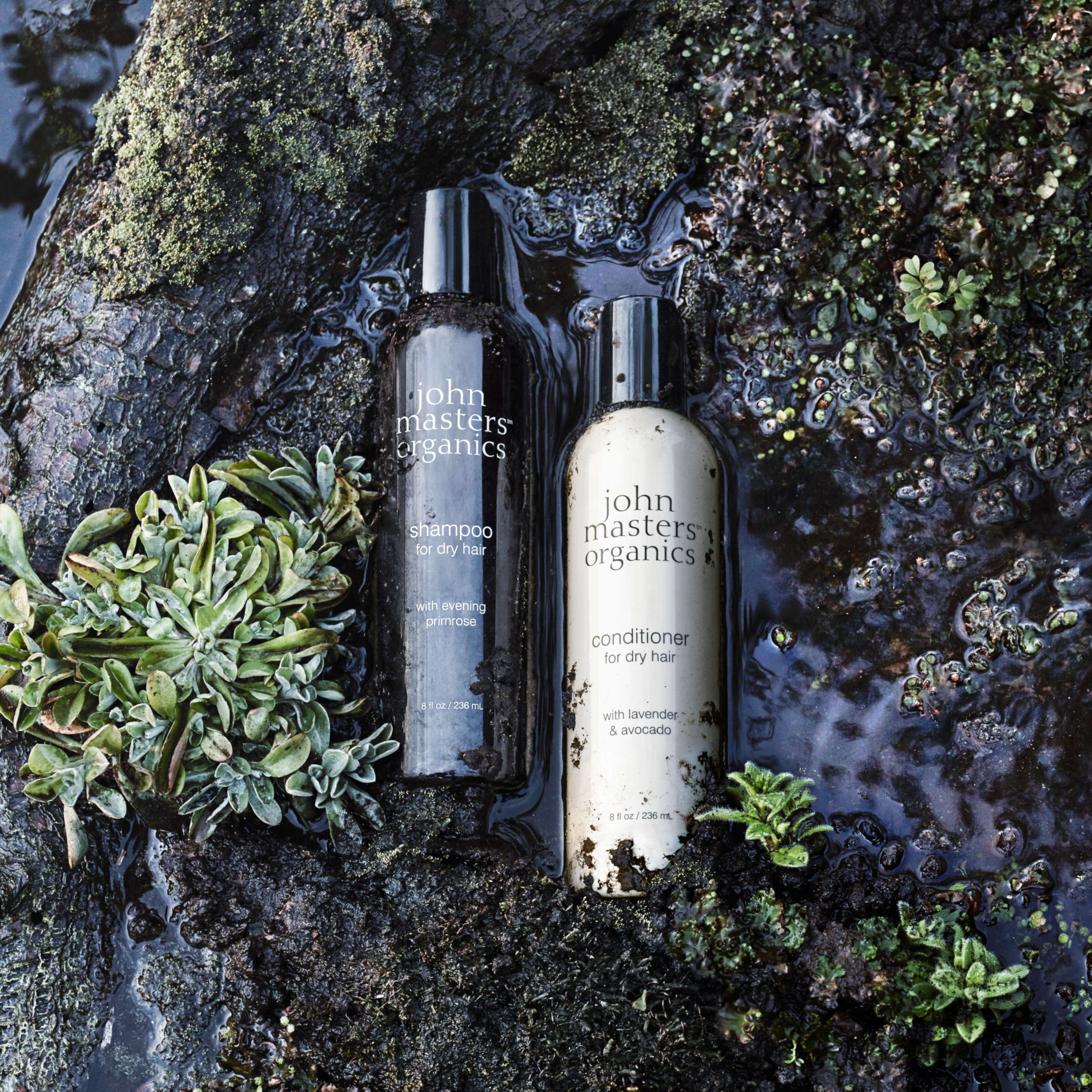 モイストヘアケアキット | john masters organics（ジョンマスター 