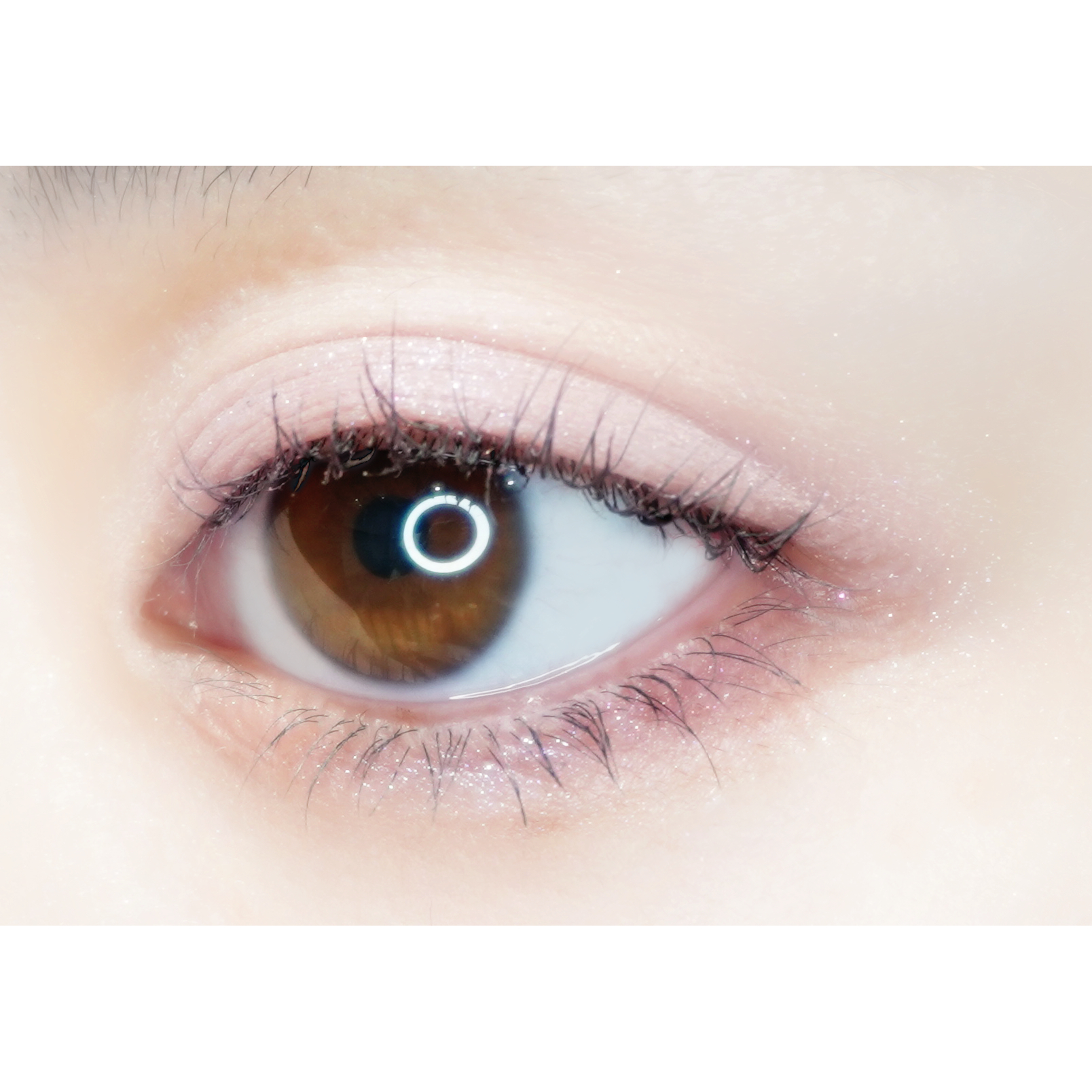 【ギフトBOX】ネコアイシャドウとリッチヘアオイルセット