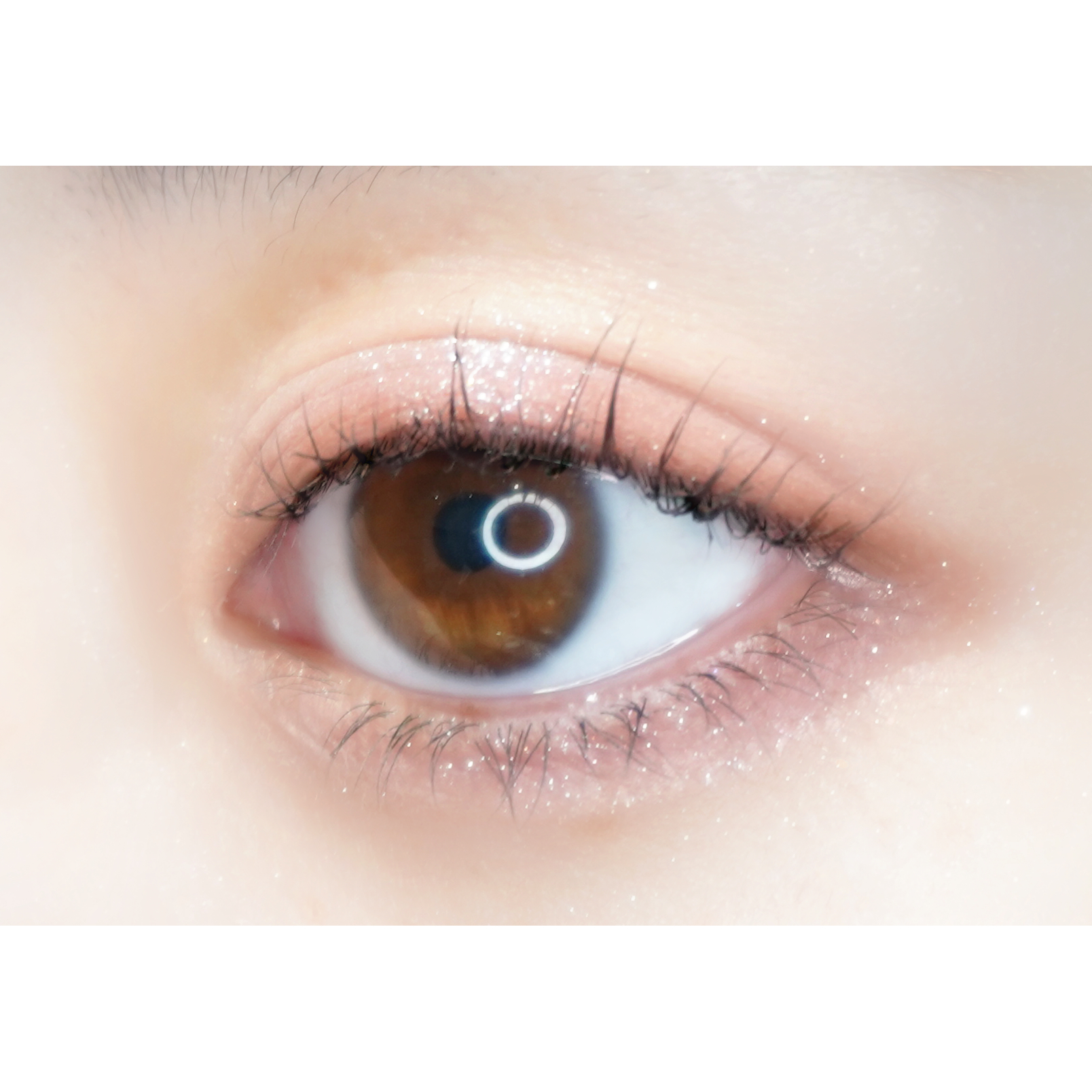 【ギフトBOX】ネコアイシャドウとリッチヘアオイルセット