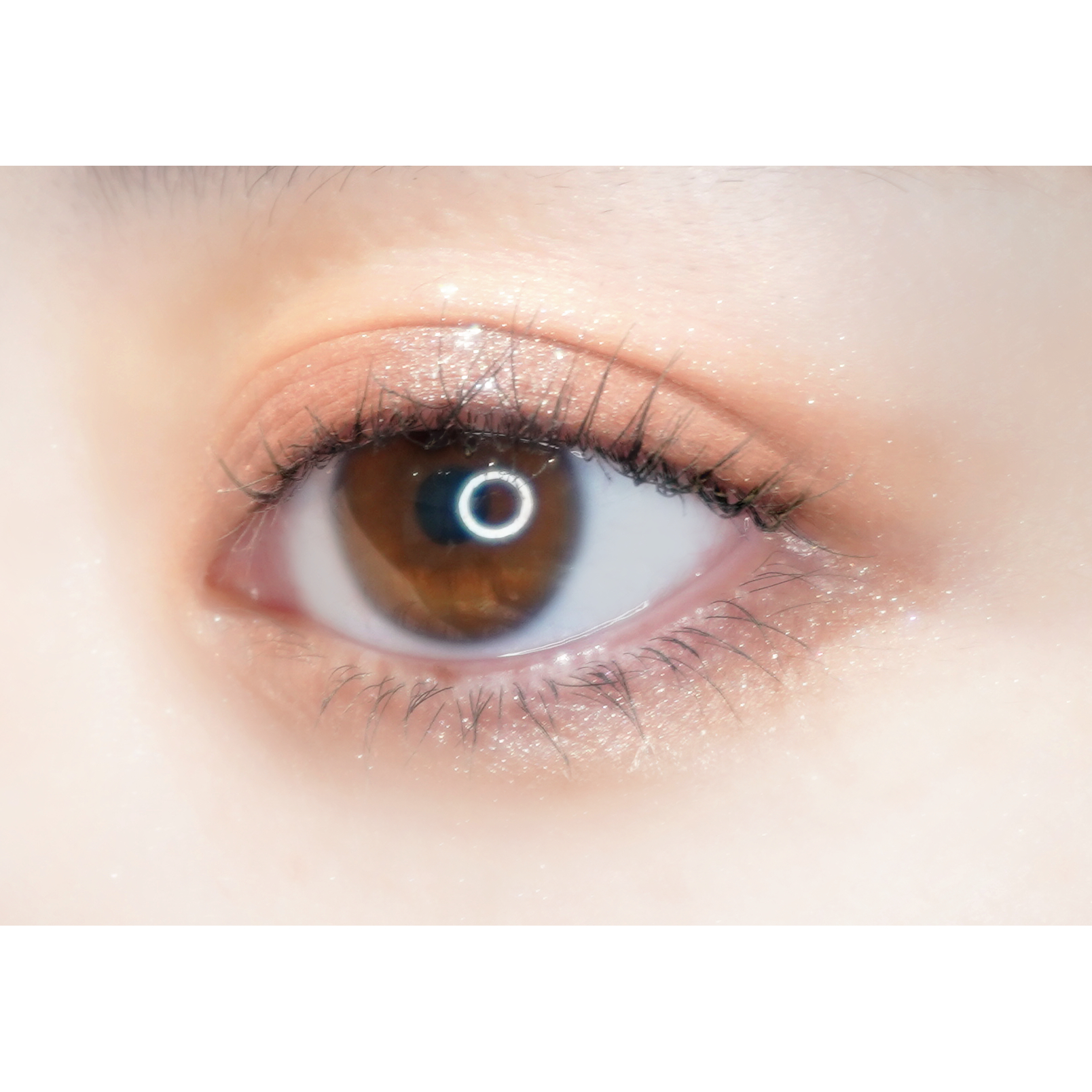 【ギフトBOX】ネコアイシャドウとリッチヘアオイルセット