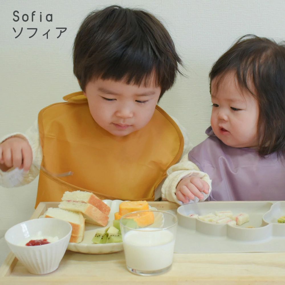 ソリッドエプロン5枚セット