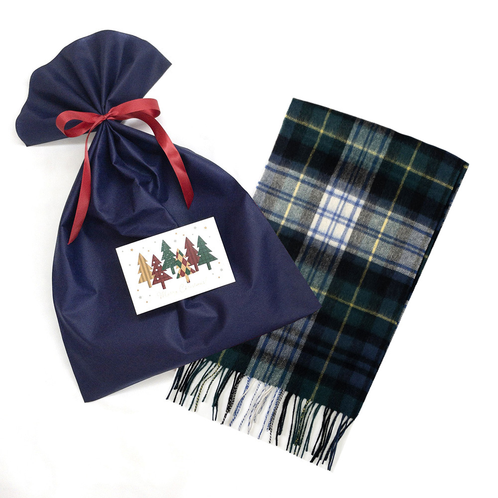 《カシミヤタッチ》スモーキーパステルチェックストール