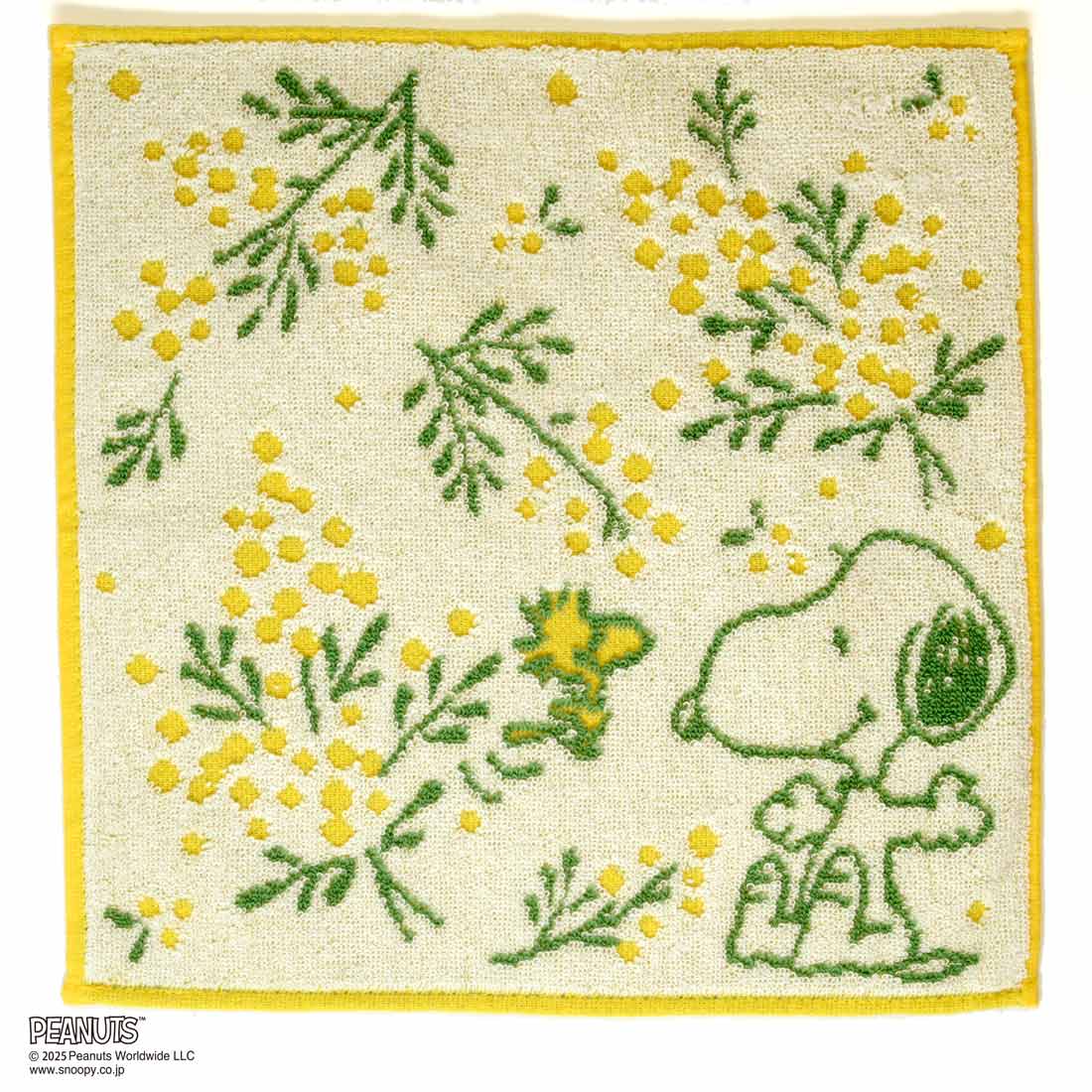 【スヌーピー好きに贈る】PEANUTS ラインメンズソックス&タオルハンカチBOX