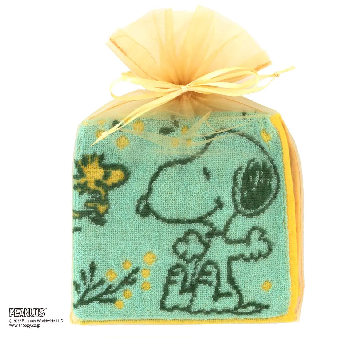 【スヌーピー好きに贈る】PEANUTS ラインレディースソックス&タオルハンカチ BOX