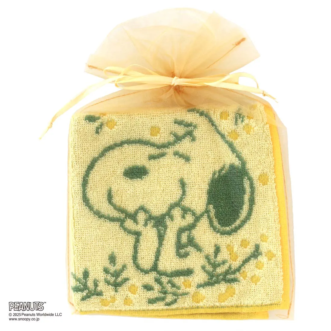 【スヌーピー好きに贈る】PEANUTS ラインレディースソックス&タオルハンカチ BOX