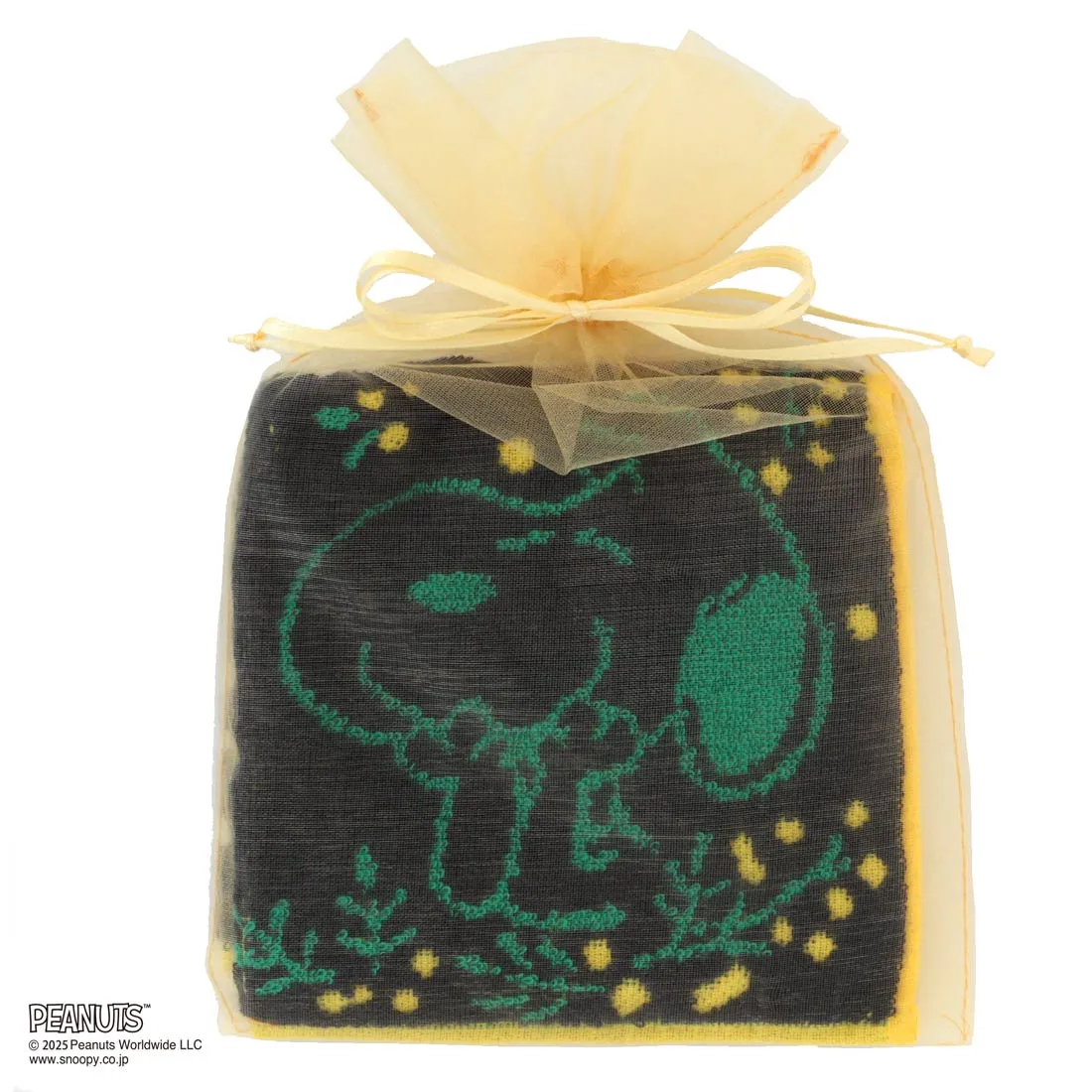 【スヌーピー好きに贈る】PEANUTS ラインレディースソックス&タオルハンカチ BOX