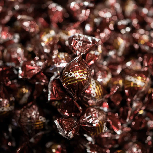 【クリスマス限定ボックス付】ハンカチとチョコと紅茶のねこちゃんセット