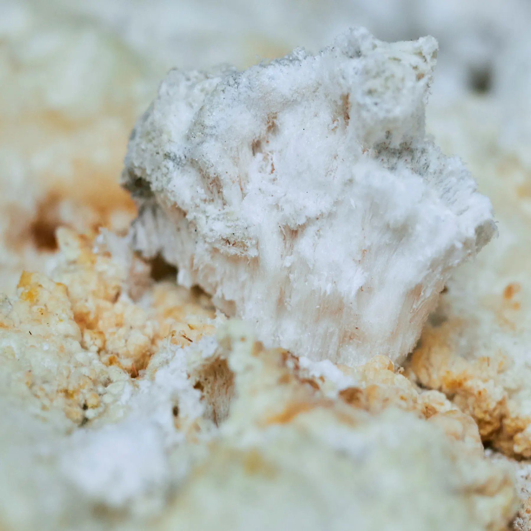 【クリスマス限定ラッピング付】入浴剤と紅茶の安らぎのひとときセット