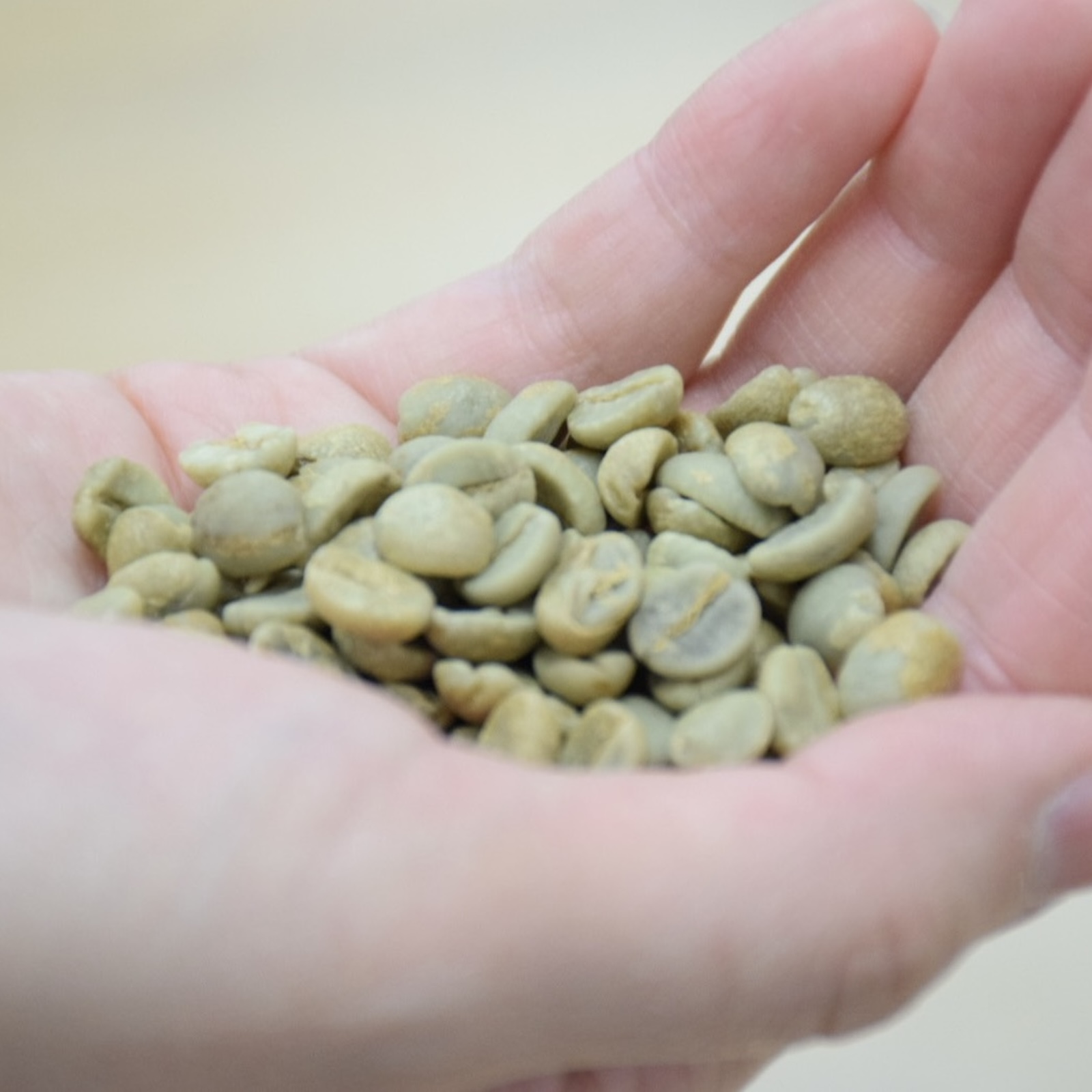 カラフルでクリアな5つの香りと味わいのコーヒーセット