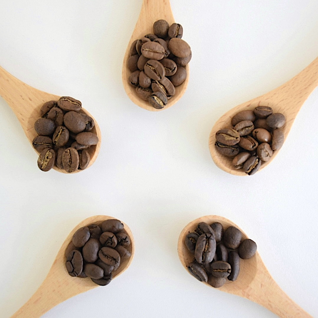 カラフルでクリアな5つの香りと味わいのコーヒーセット