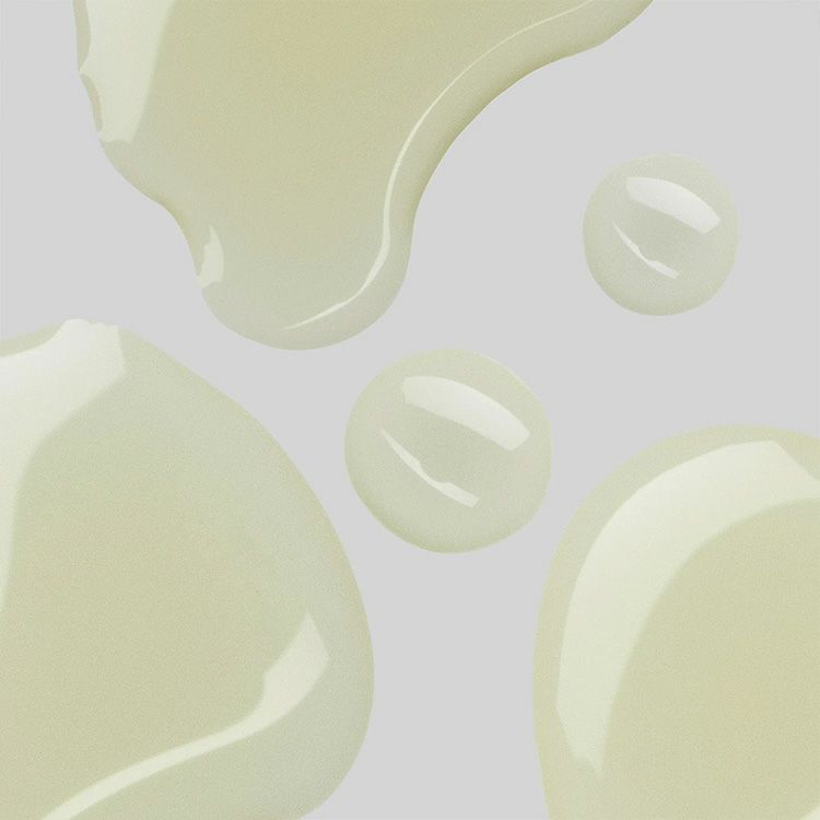 【クリスマス・数量限定】ワイルドローズラディアンスコレクション