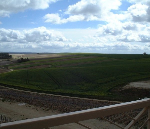 クロズリー・デ・アリズィエ　シャブリ　ＶＶ