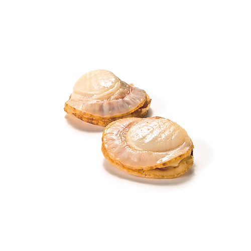 TSUTSUMI 炊き込みご飯の素セットE