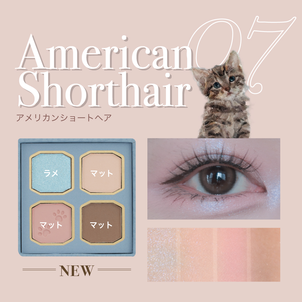 マイキティアイパレット