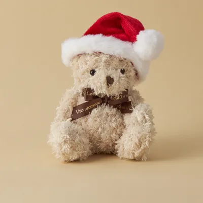 【名入れ/クリスマス限定ボックス付】カシミヤ100%マフラー・モアサナイト一粒ネックレス・サンタテディベアセット