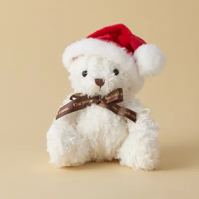 【名入れ/クリスマス限定ボックス付】カシミヤ100%マフラー・モアサナイト一粒ネックレス・サンタテディベアセット