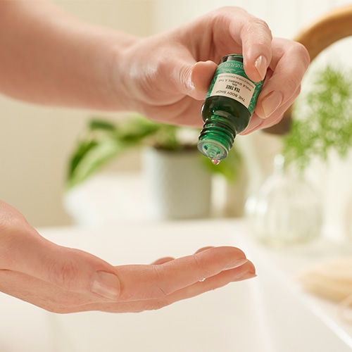 【数量限定】ホリデーポーチギフト（フェイスケア6点セット）