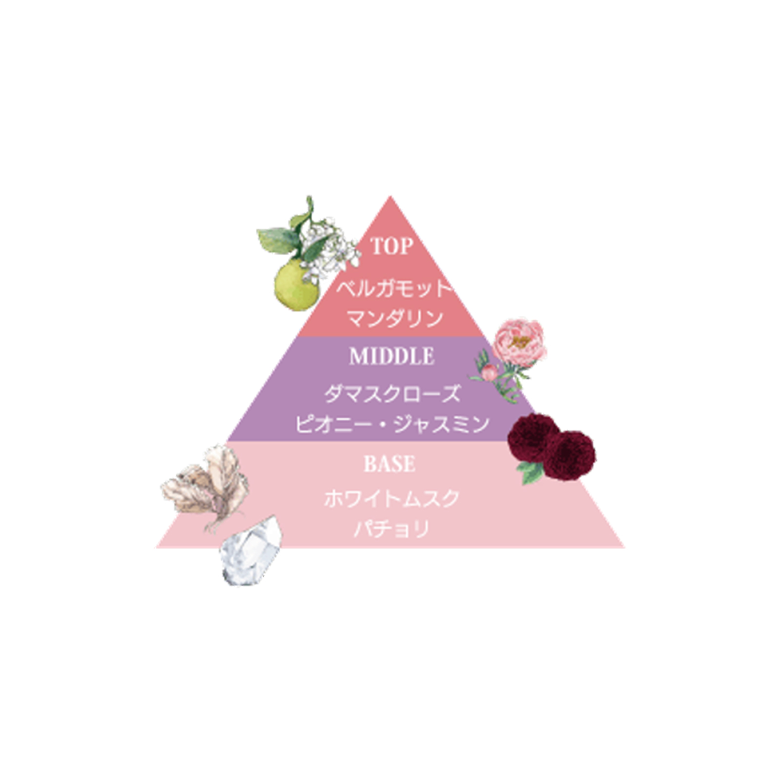 パフューム＆フレグランスハンドクリームセット