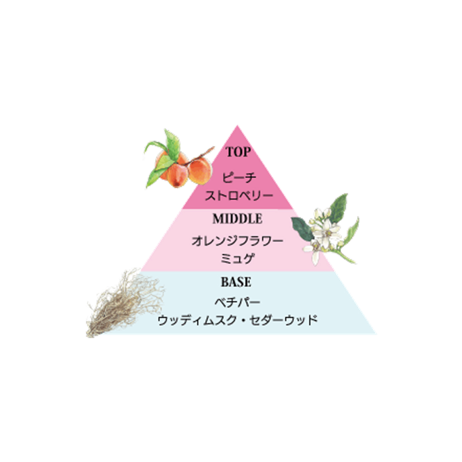 パフューム＆フレグランスハンドクリームセット