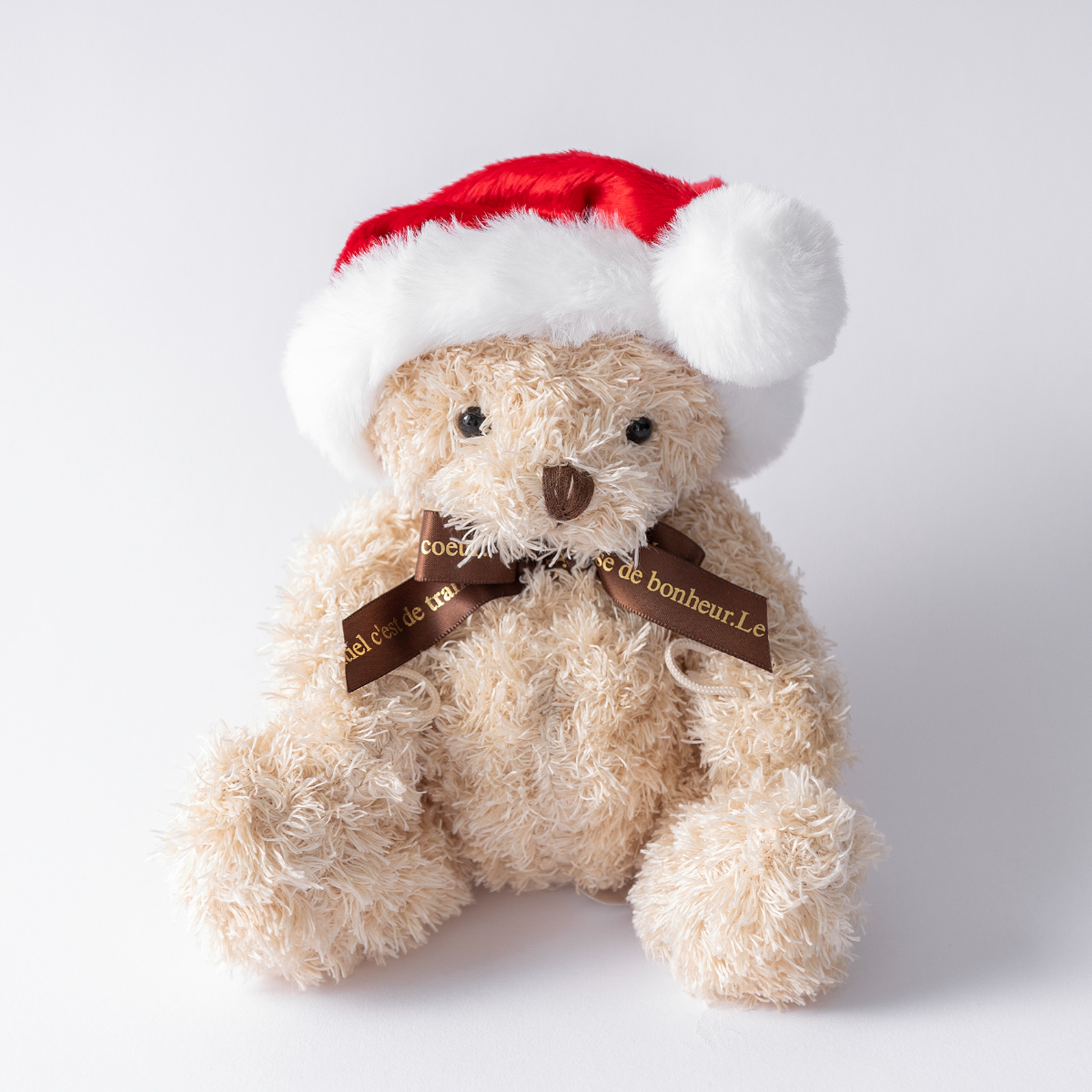 【クリスマス限定ラッピング付】クリスマスベアとフルーツたっぷりブラウニーのセット