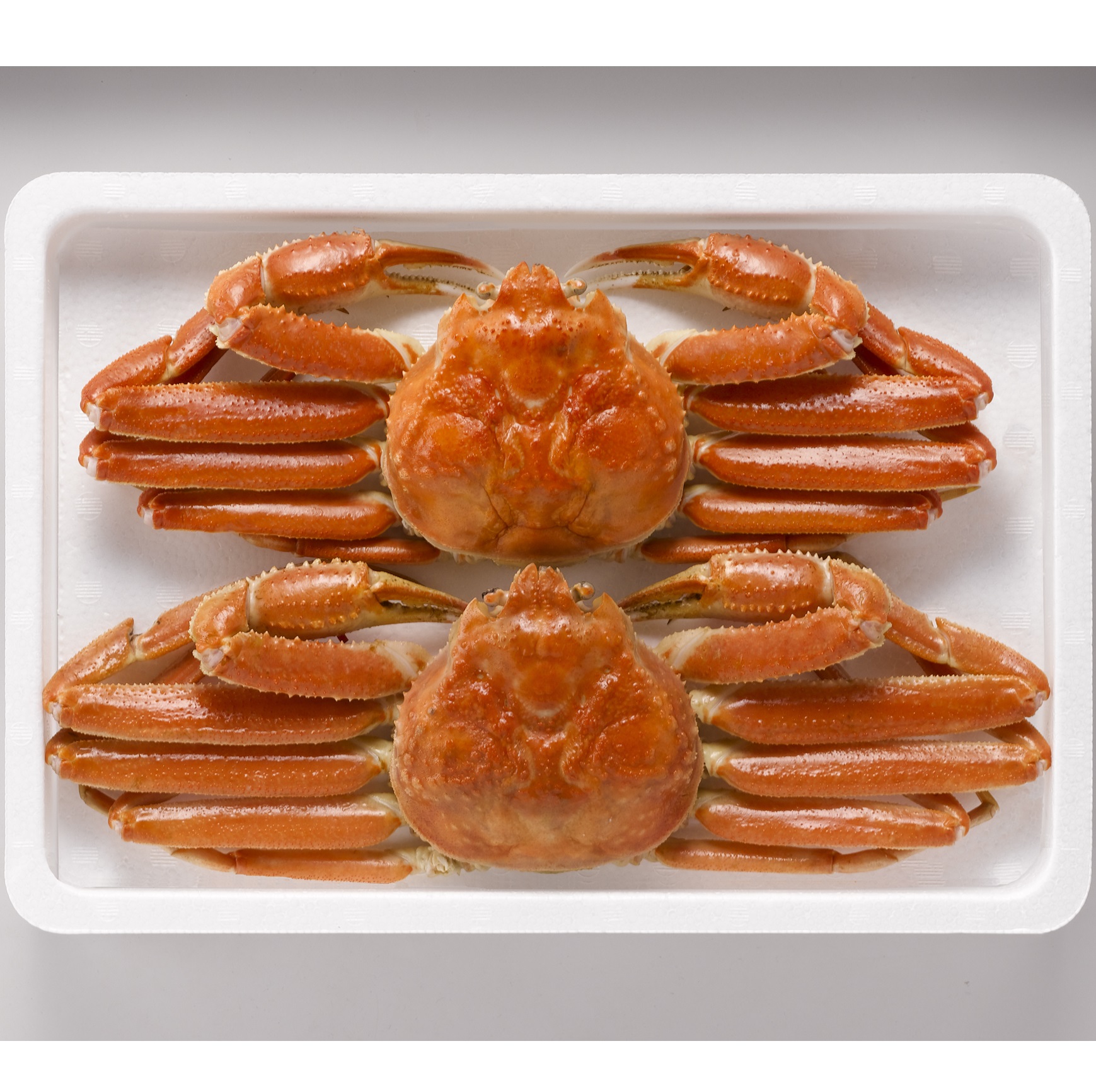 【TANP限定価格】ZHB502　ボイル姿本ずわい蟹2杯（計 約1kg）