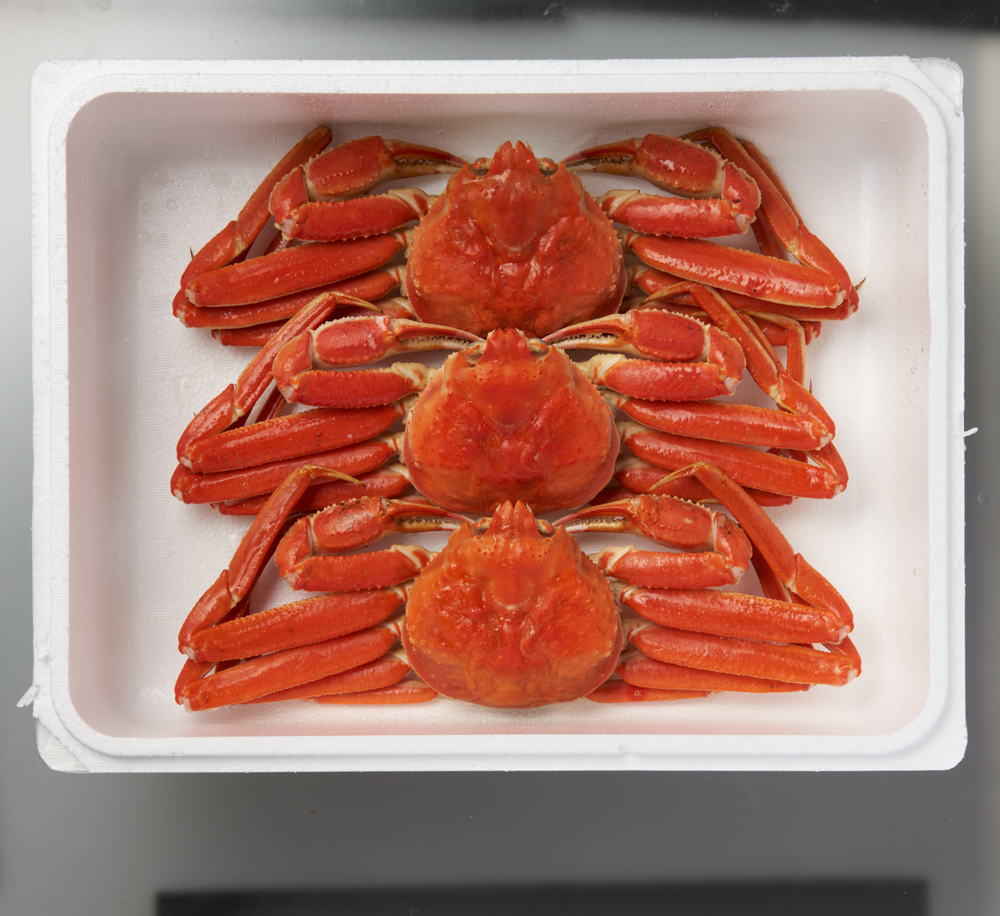 【TANP限定価格】ZHB503　ボイル姿本ずわい蟹3杯（計 約1.5kg）