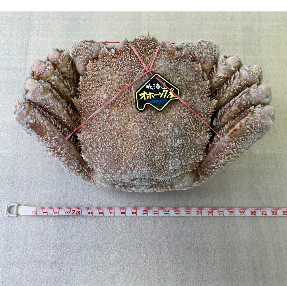 【特大毛蟹】KHB802　ボイル毛がに2杯（計 約1.6kg）