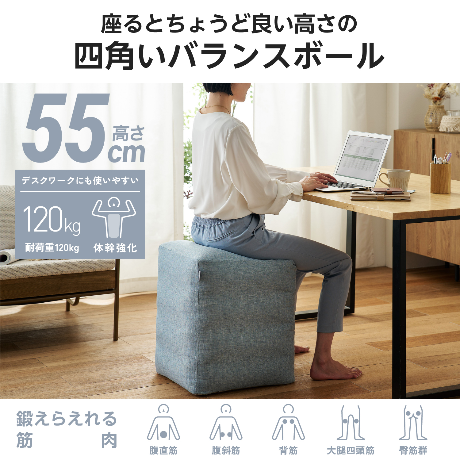 エクリアスポーツ スクエア型バランスボール