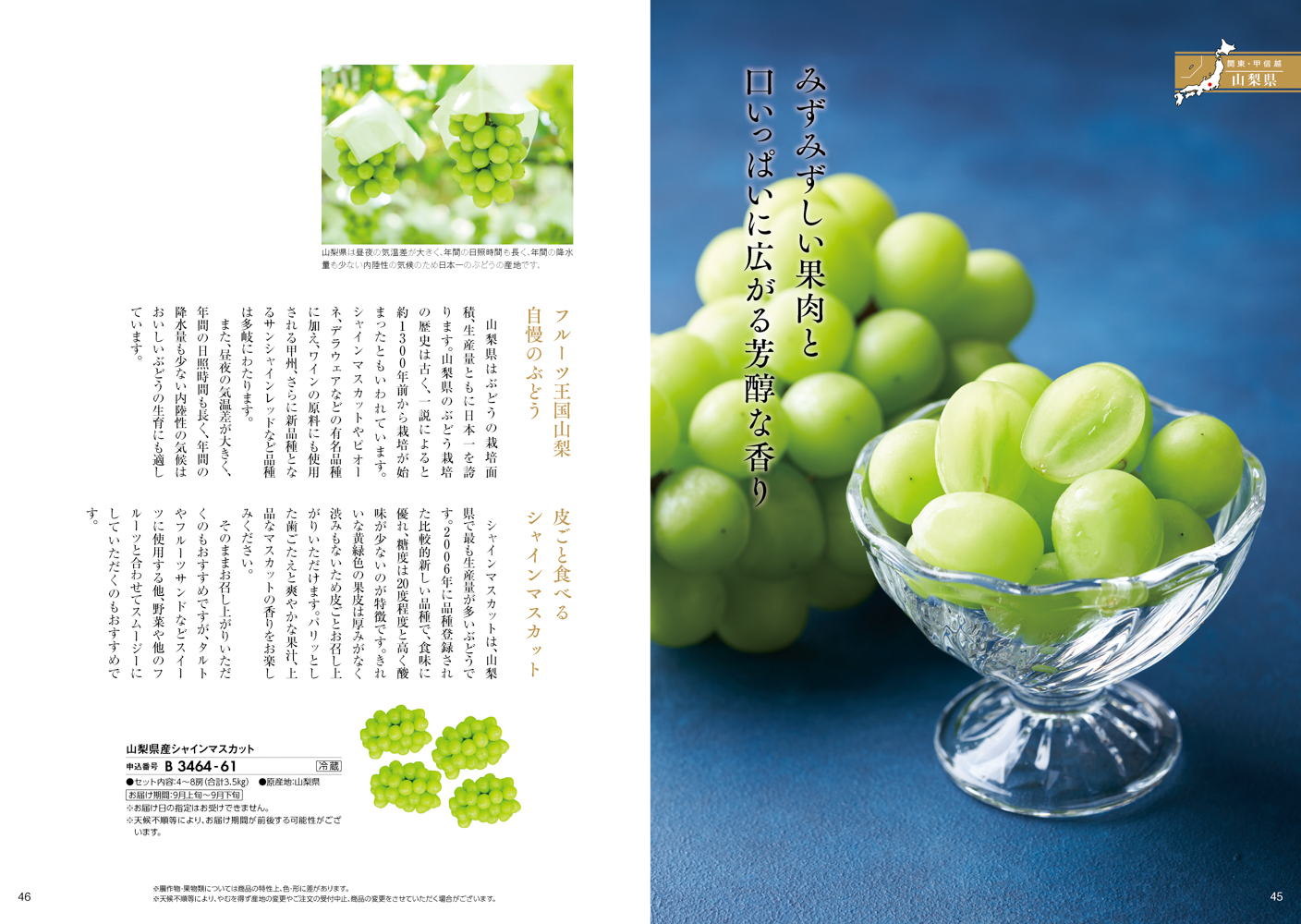 日本の贈り物 曙（あけぼの）