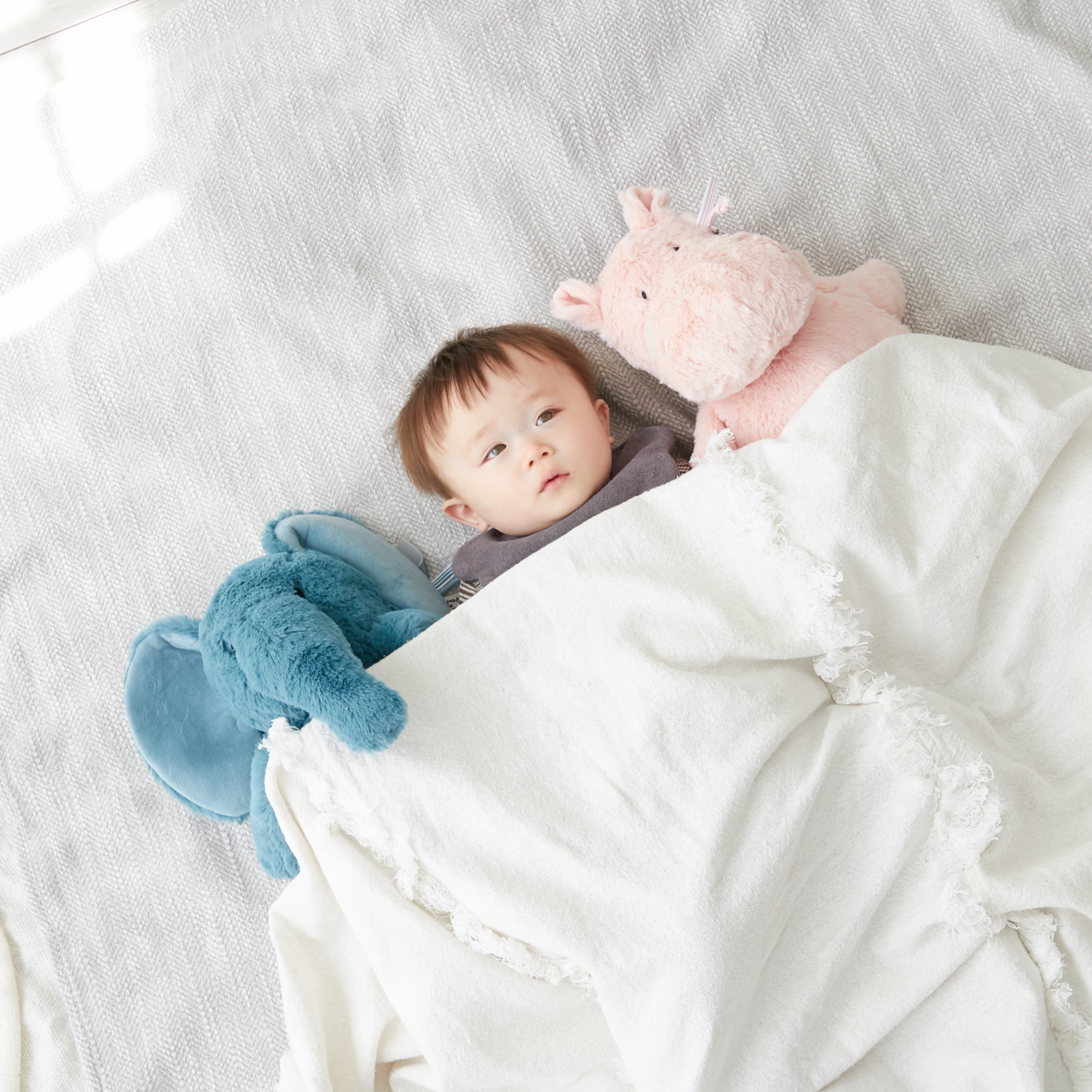 レーベルレーベル ふわふわぬいぐるみ（ヒッポーハービー）