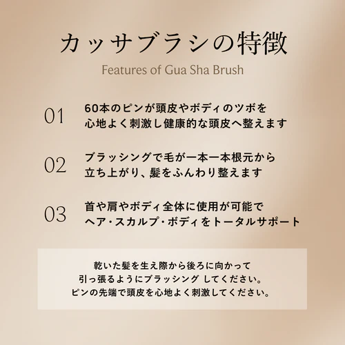 プレミアム FOX カッサ ゴースト ヘアブラシ ブラック