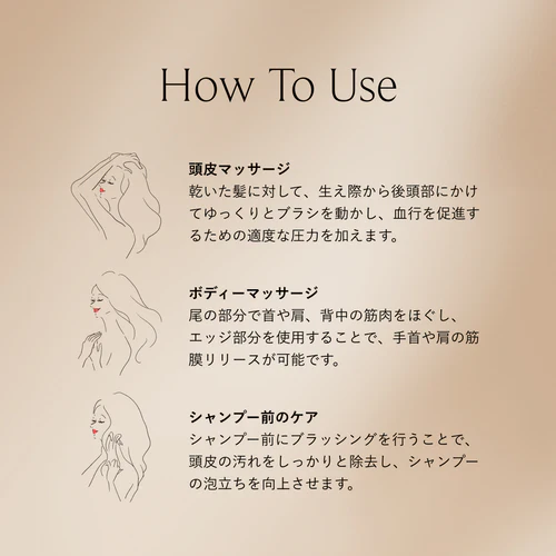 プレミアム FOX カッサ ゴースト ヘアブラシ ブラック