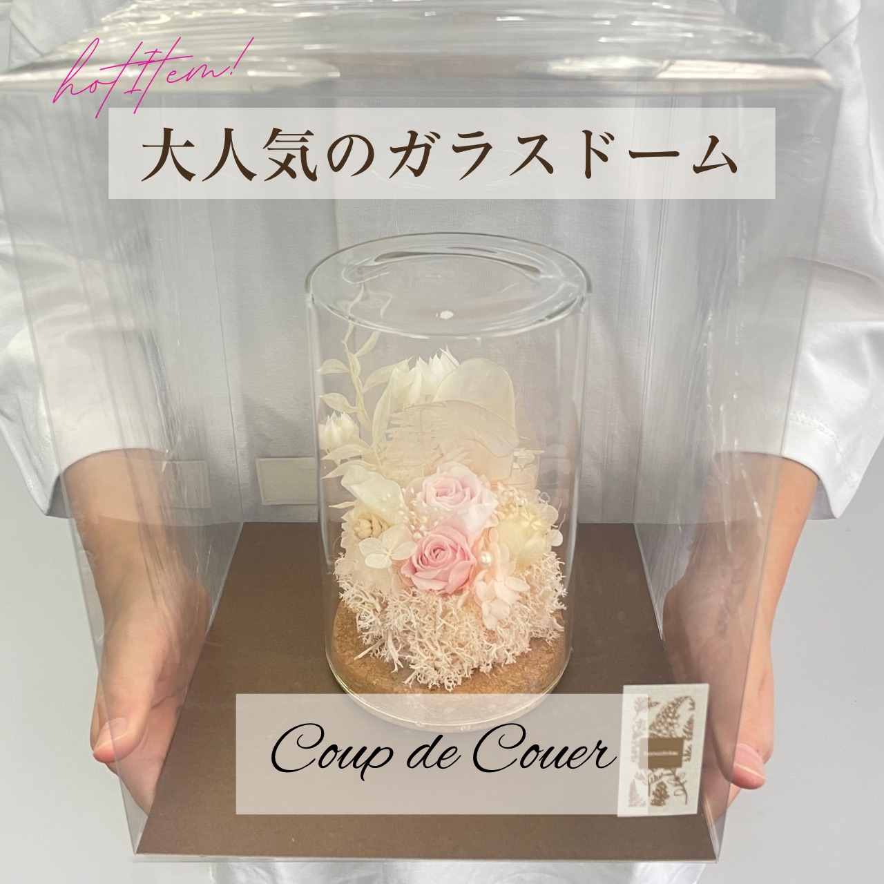 ガラスドーム(L)