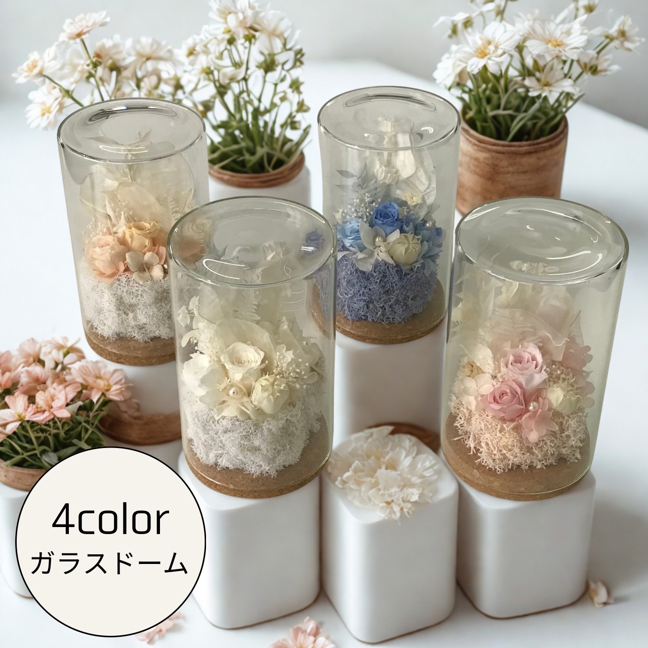 ガラスドーム(L)