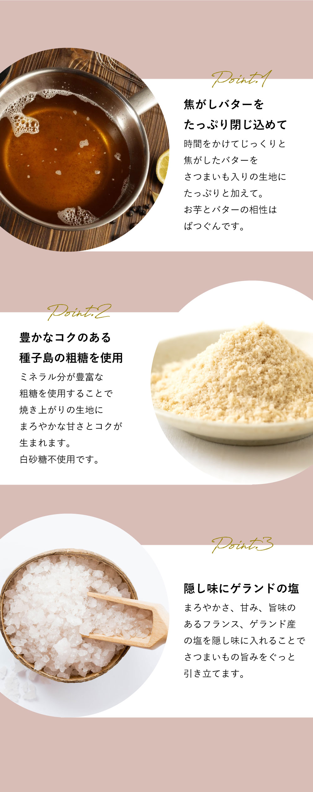 箱入OIMO フィナンシェ10個入
