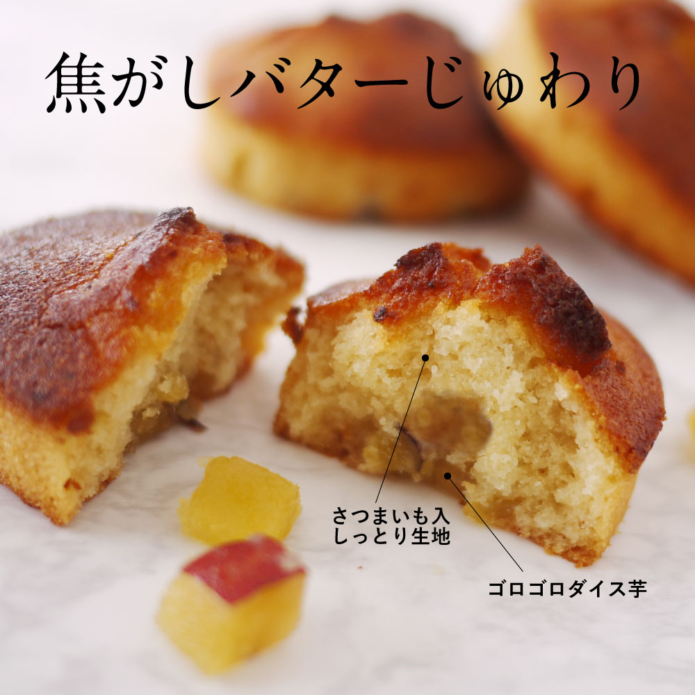 箱入OIMO フィナンシェ10個入