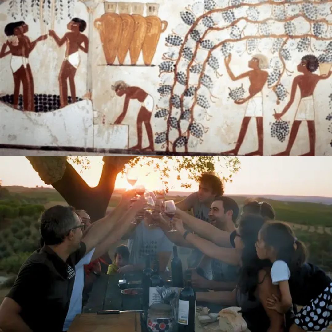 2500年前 紀元前から続く世界最古のワインのひとつ。「タリャワイン」赤白セット