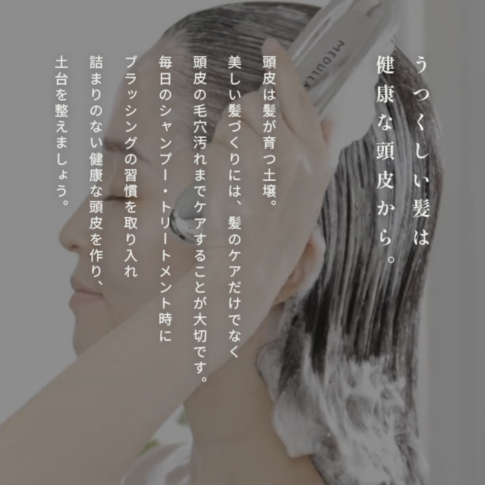 スカルプリフトブラシ | MEDULLA（メデュラ）のプレゼント