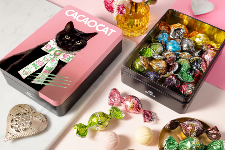 【期間限定】CACAOCAT缶 ミックス 14個入り RIBBON