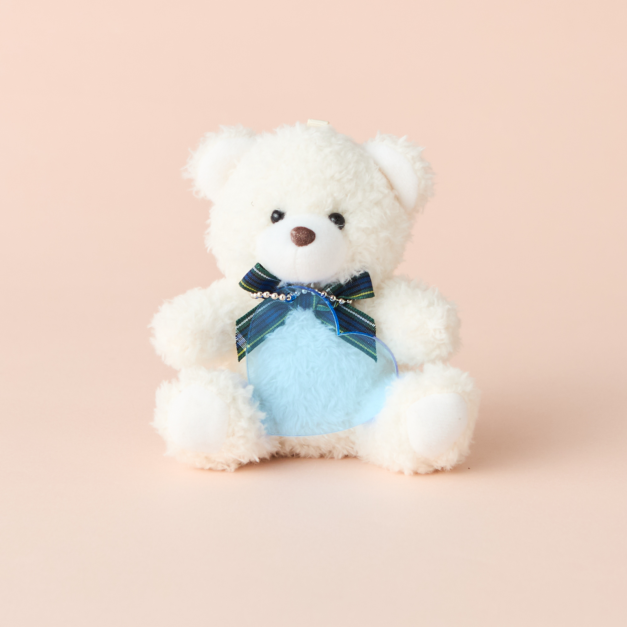 【名入れ無料・BOX入り】チョコレート&ハートチャーム付ペアテディベア